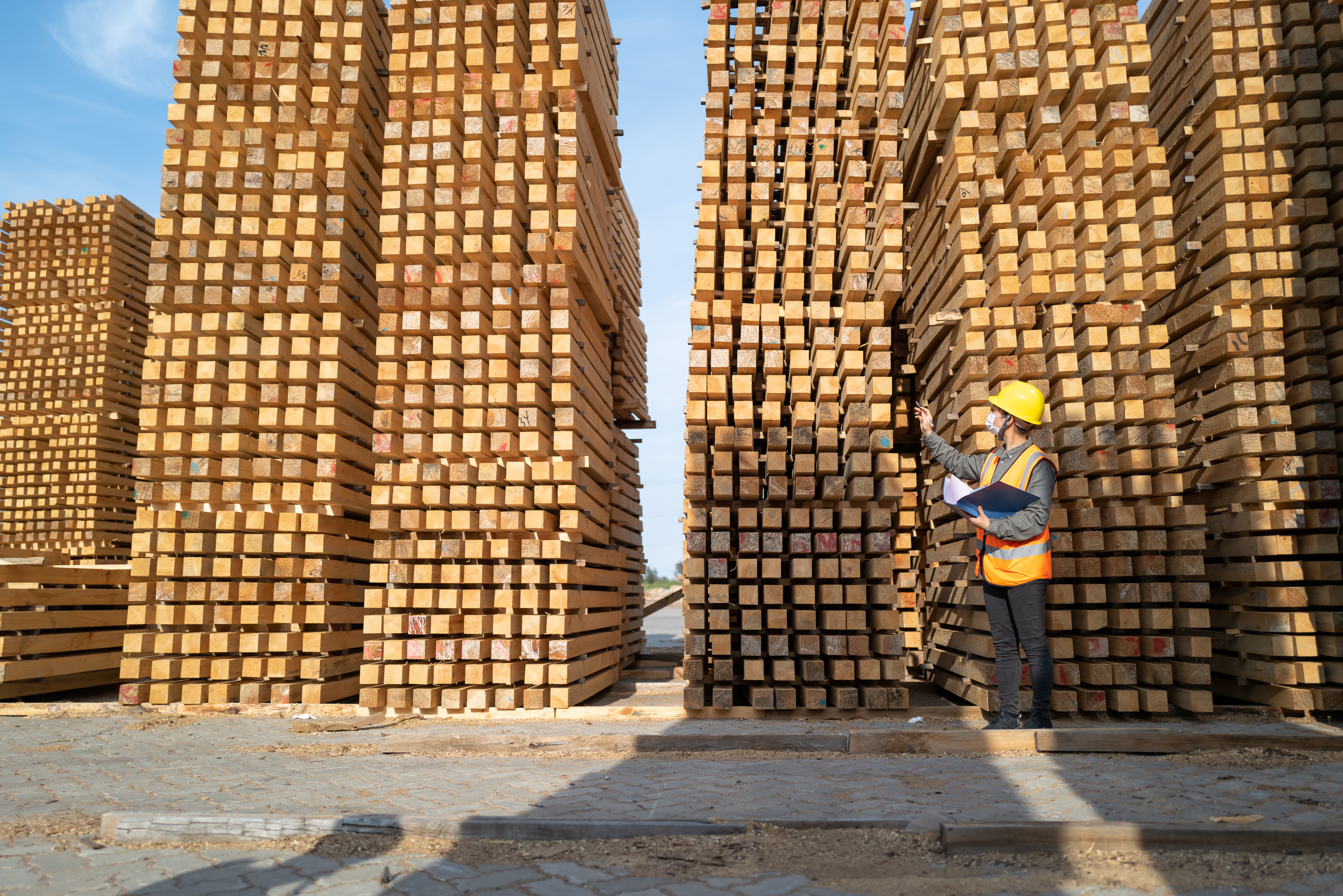Lumber piles with person standing in front